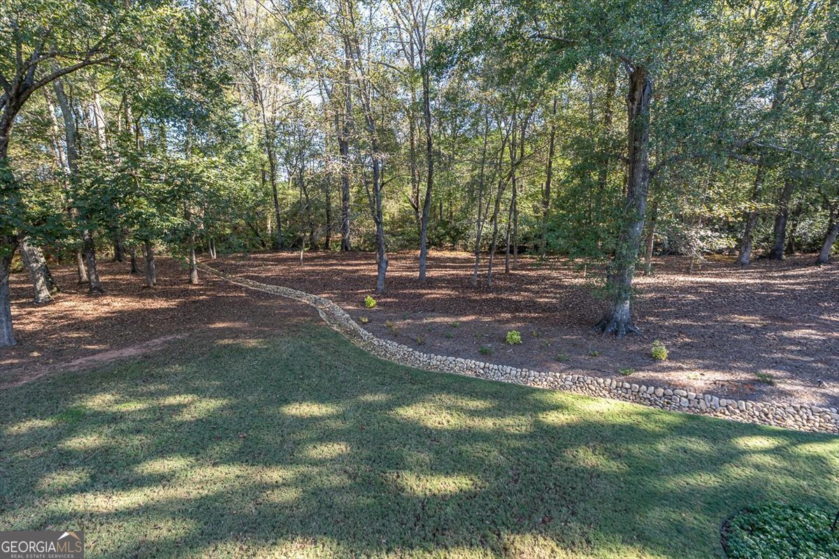 3065 Brookhaven Drive Watkinsville - 12