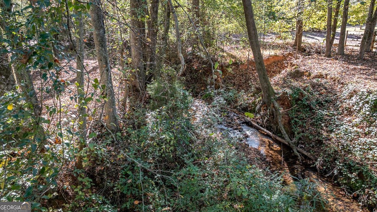 3065 Brookhaven Drive Watkinsville - 22