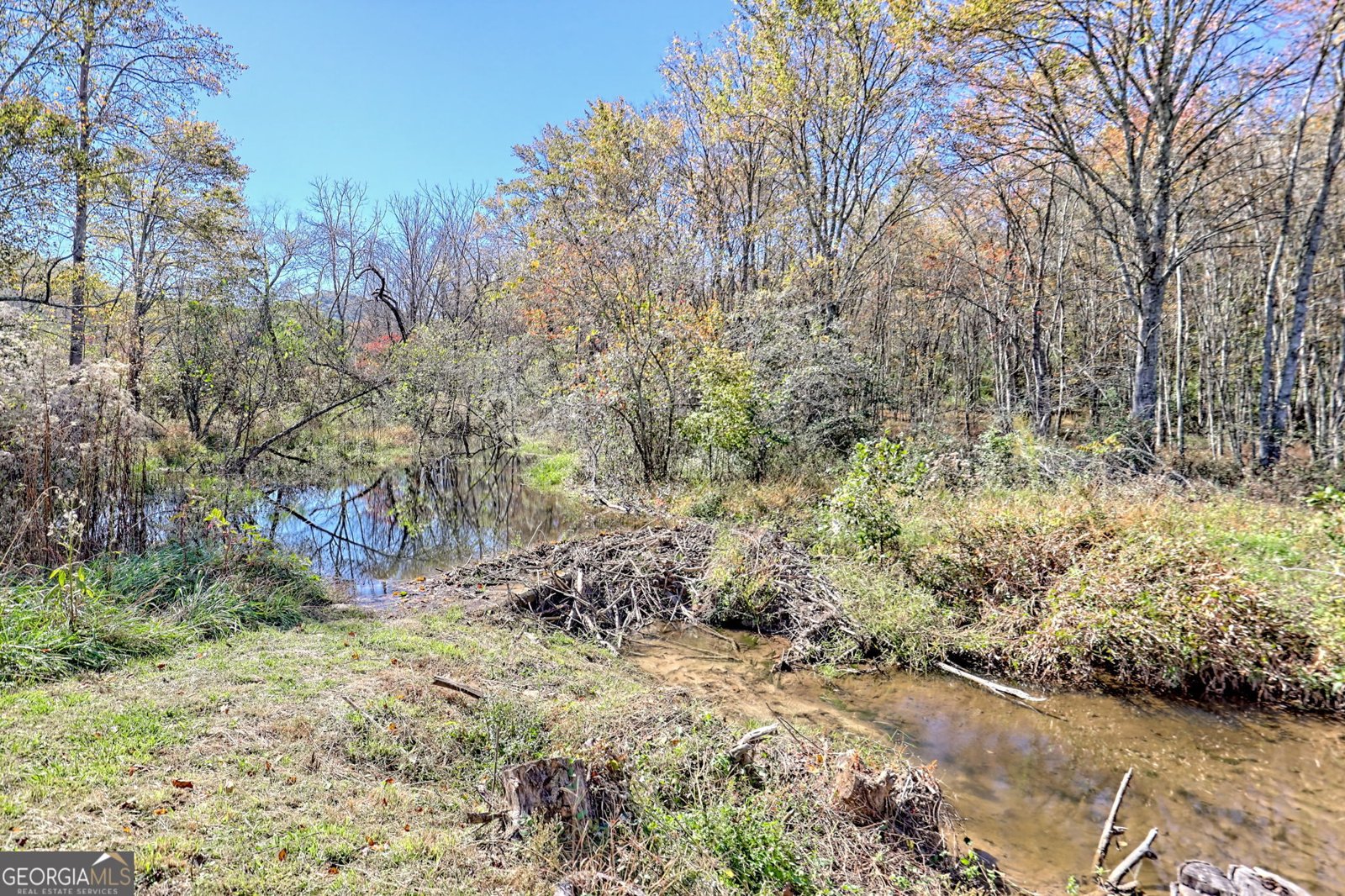 4159 St Highway 325 Blairsville - 30