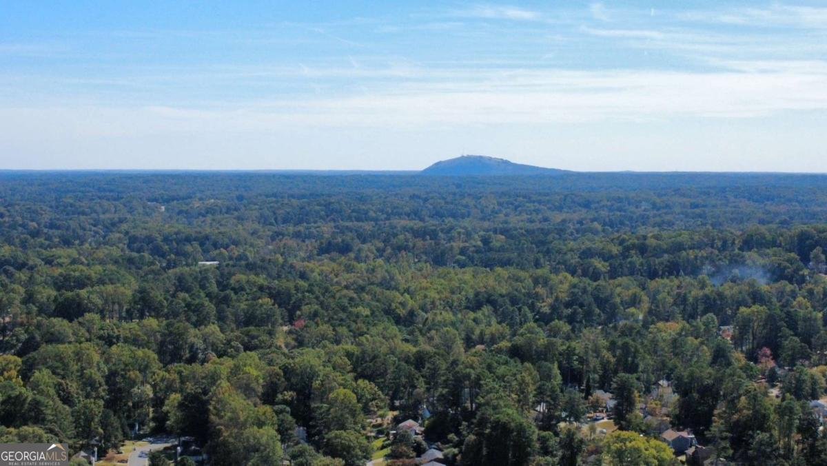 1413 Silver Lake Drive Norcross - 52