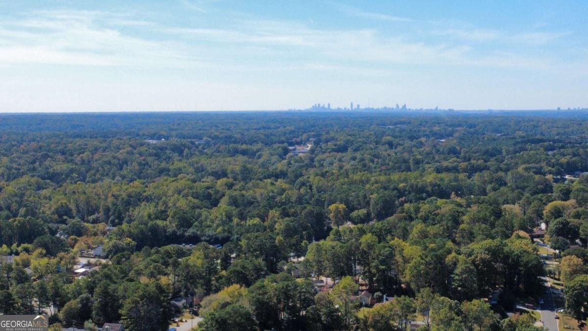 1413 Silver Lake Drive Norcross - 53