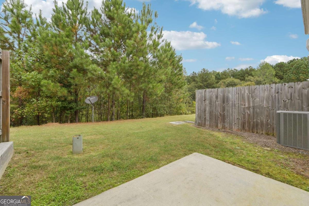 1890 Millstream Hollow Conyers - 17