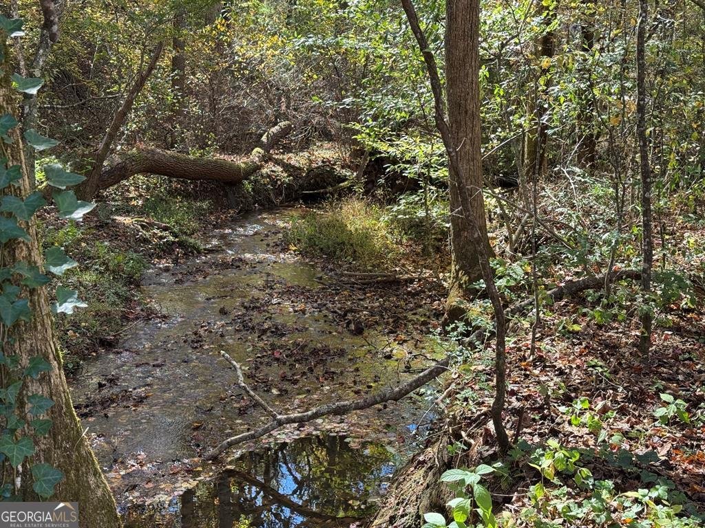 2471 High River Road Hiawassee - 42