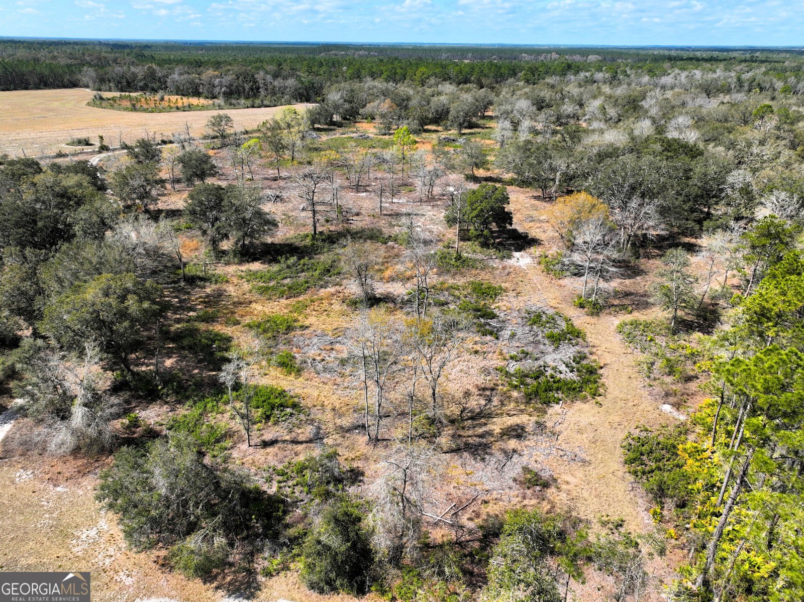 1205 Ok Lowther Road Folkston - 15