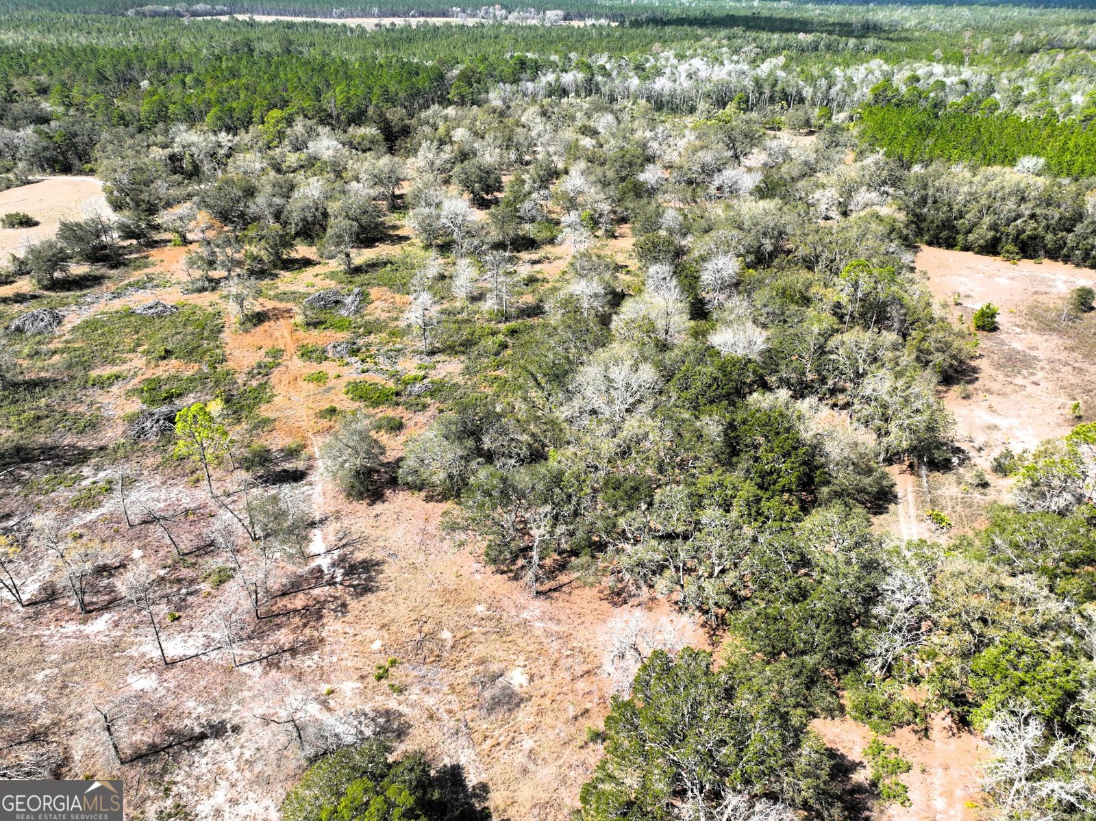 1205 Ok Lowther Road Folkston - 17