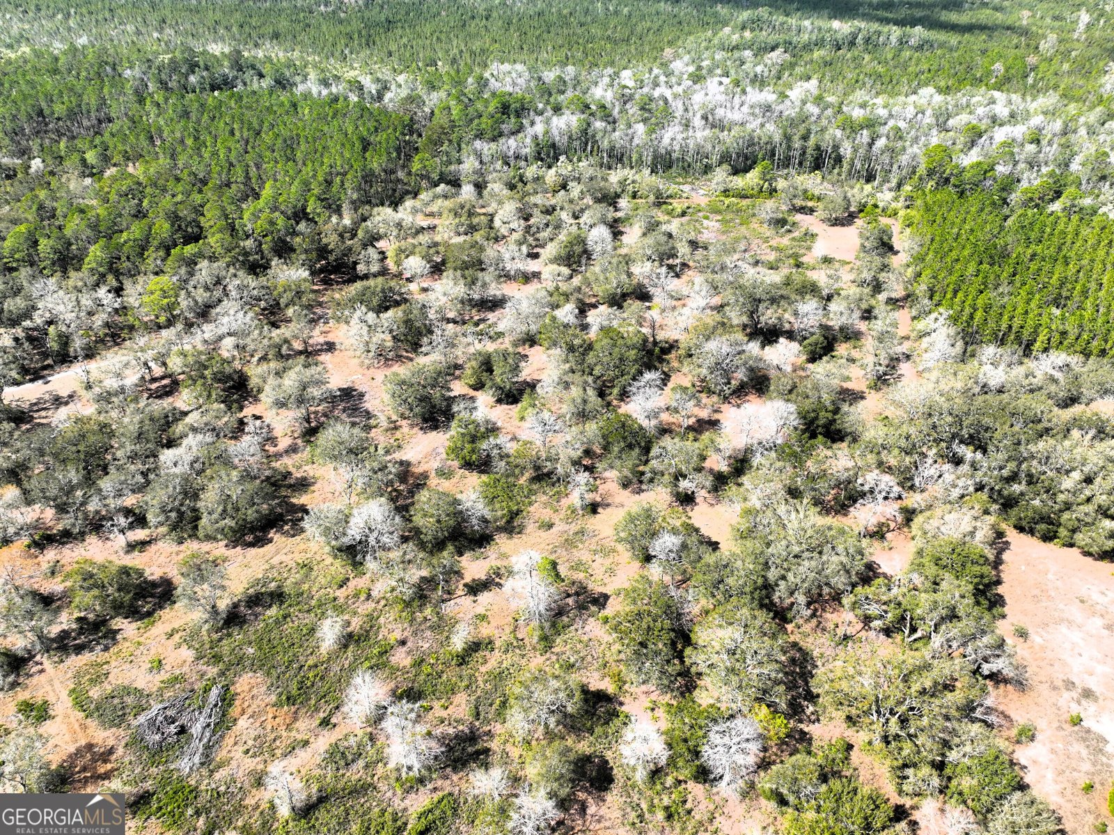 1205 Ok Lowther Road Folkston - 19