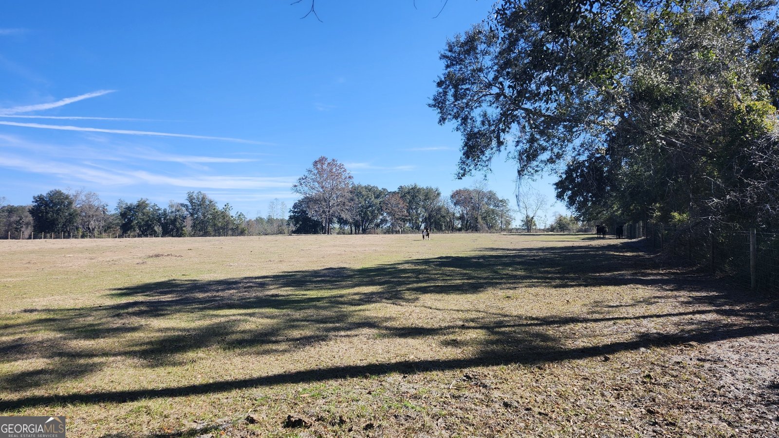 1205 Ok Lowther Road Folkston - 30