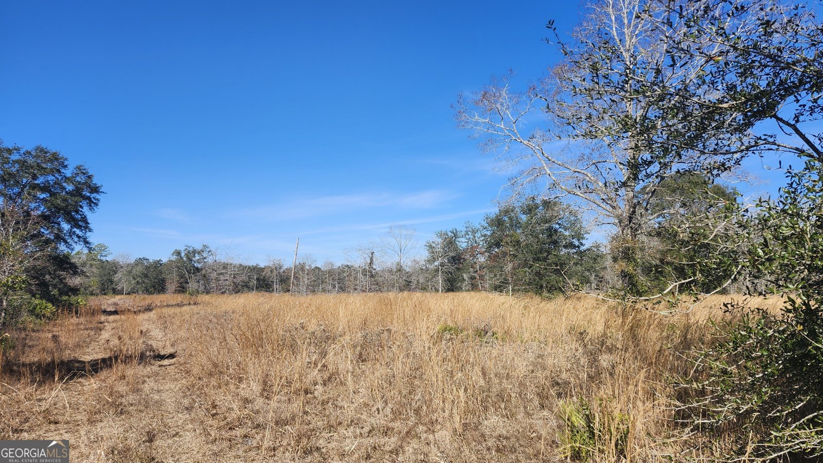 1205 Ok Lowther Road Folkston - 32