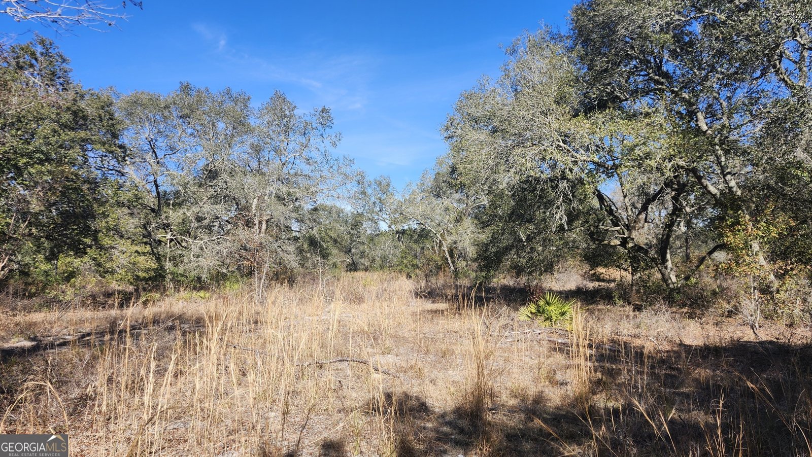 1205 Ok Lowther Road Folkston - 34