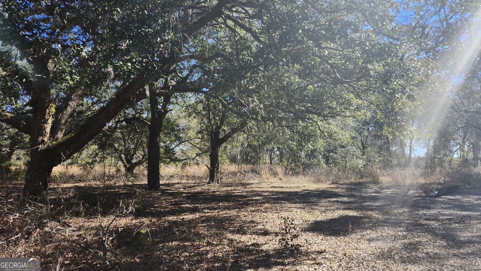 1205 Ok Lowther Road Folkston - 35