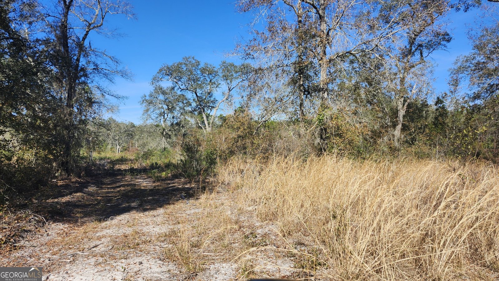 1205 Ok Lowther Road Folkston - 36