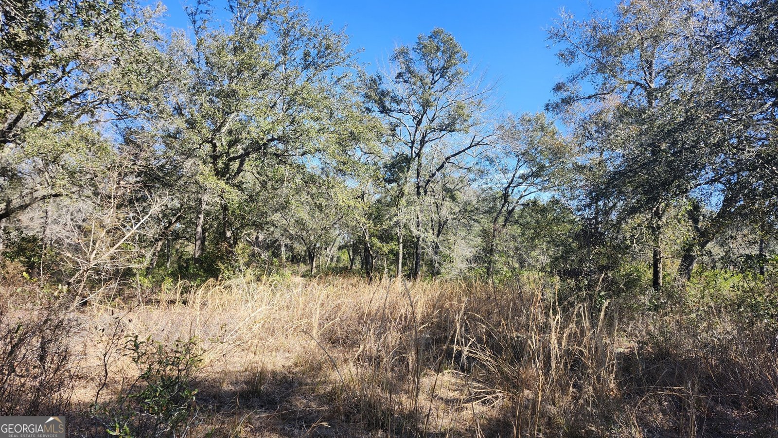 1205 Ok Lowther Road Folkston - 37