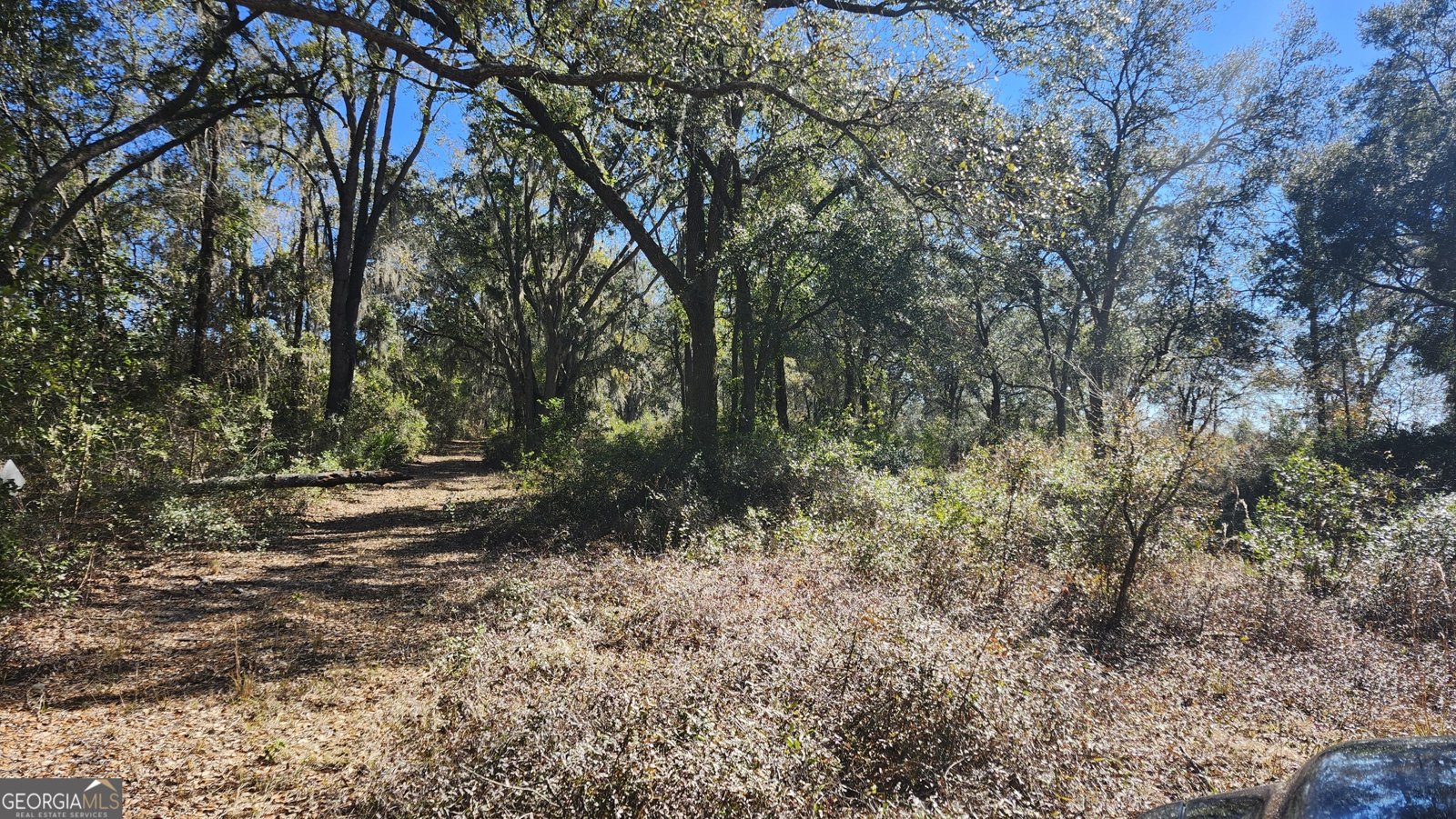 1205 Ok Lowther Road Folkston - 38