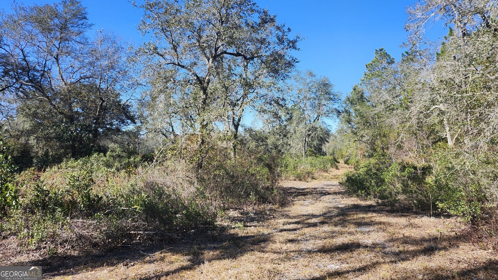 1205 Ok Lowther Road Folkston - 39