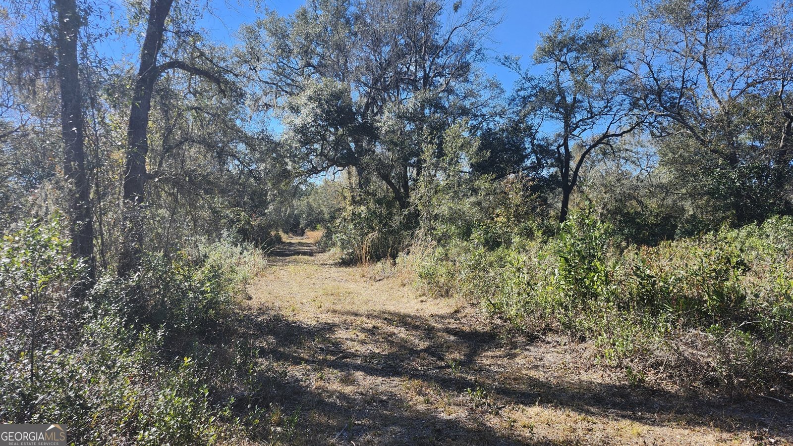 1205 Ok Lowther Road Folkston - 40