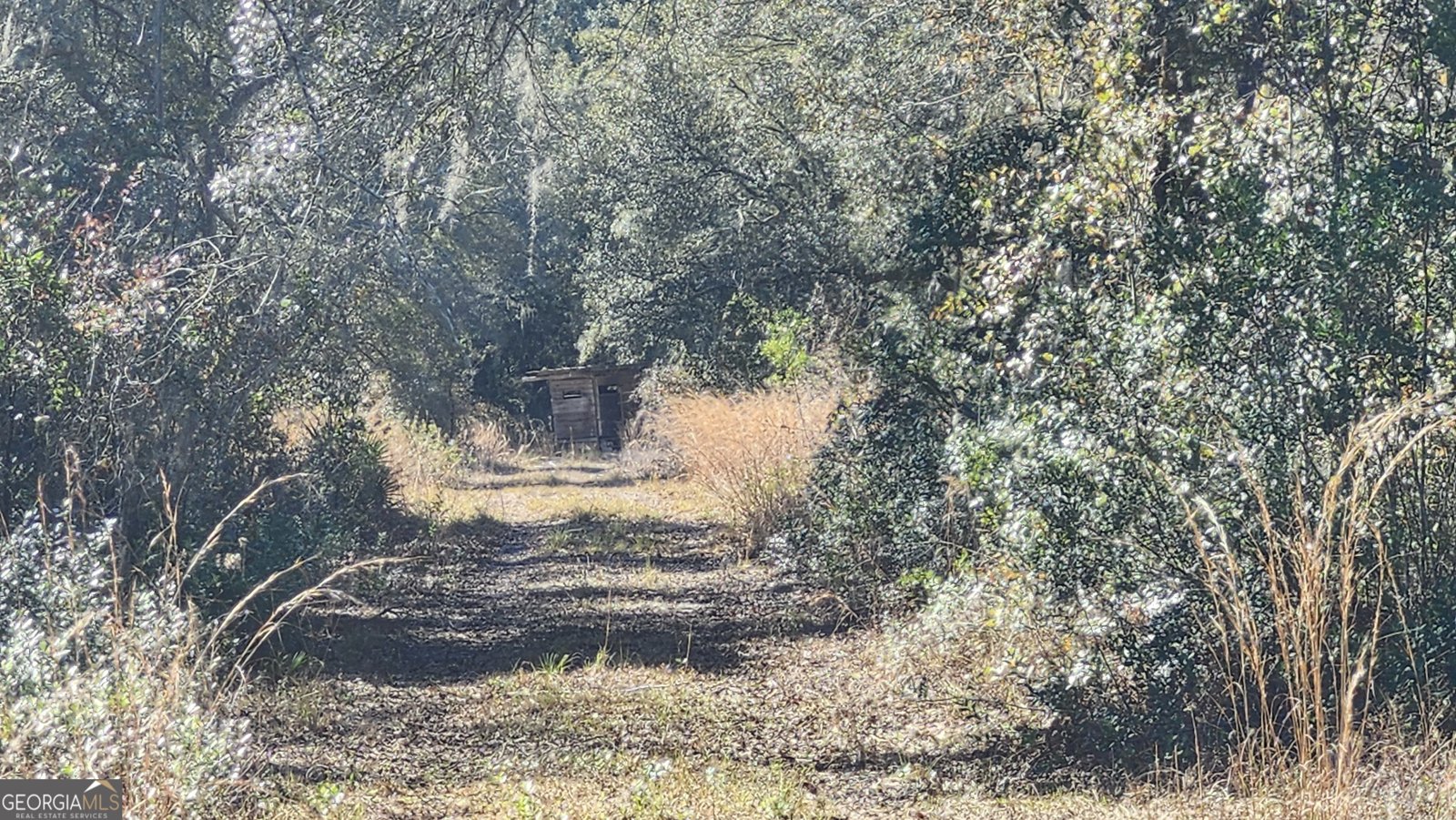 1205 Ok Lowther Road Folkston - 41