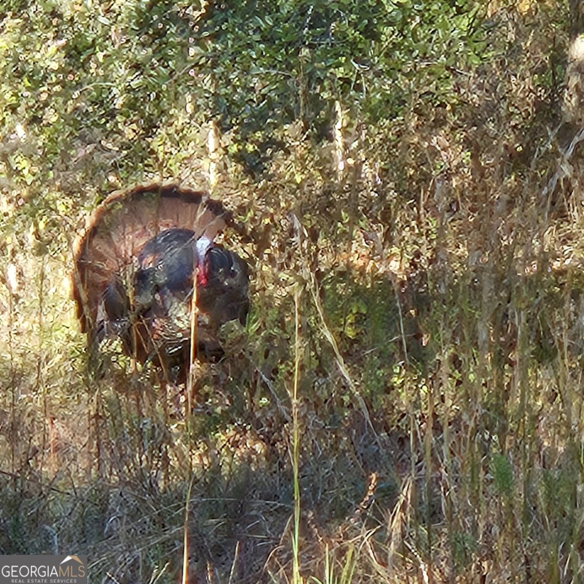 1205 Ok Lowther Road Folkston - 43