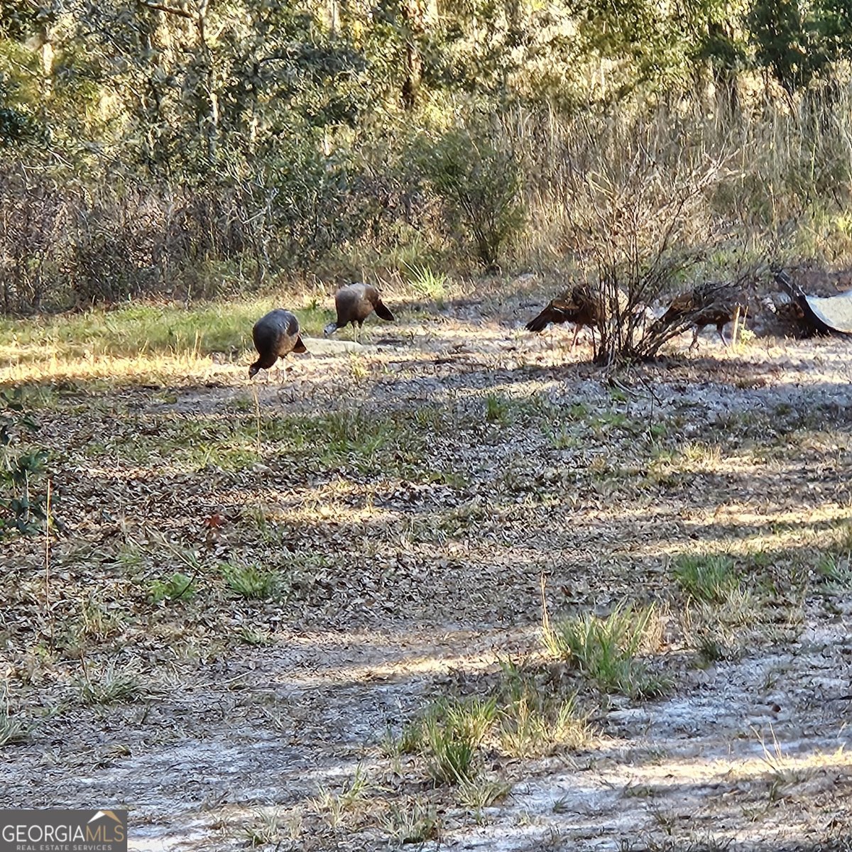 1205 Ok Lowther Road Folkston - 44