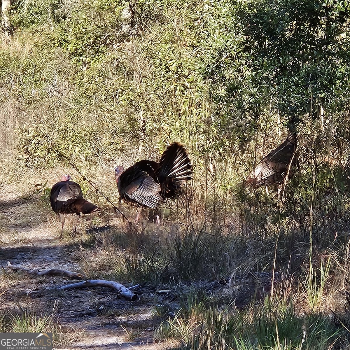 1205 Ok Lowther Road Folkston - 45