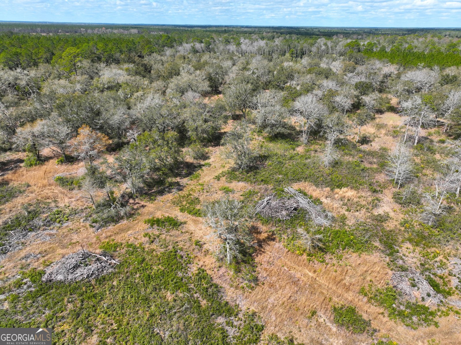 1205 Ok Lowther Road Folkston - 51