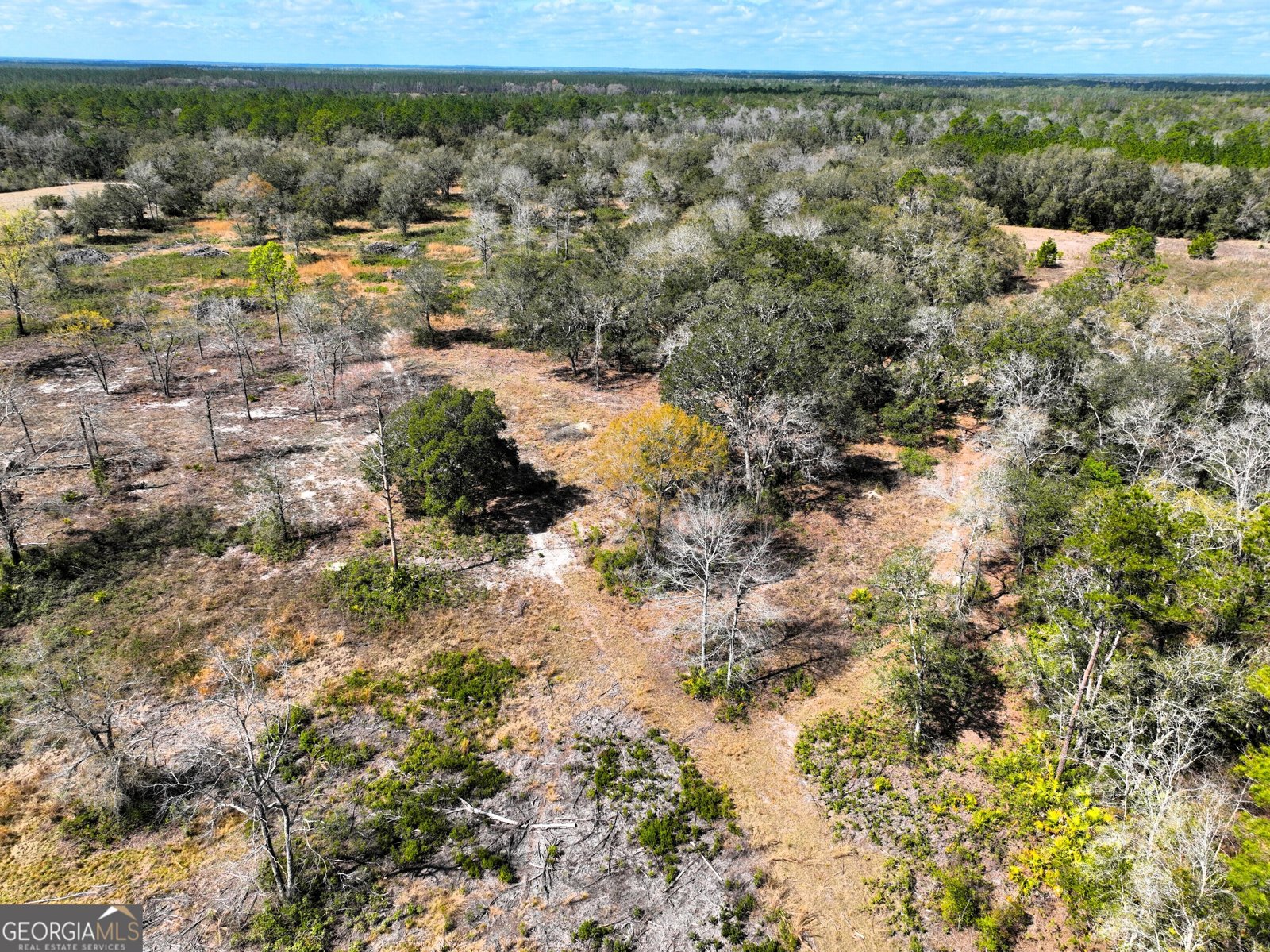 1205 Ok Lowther Road Folkston - 67