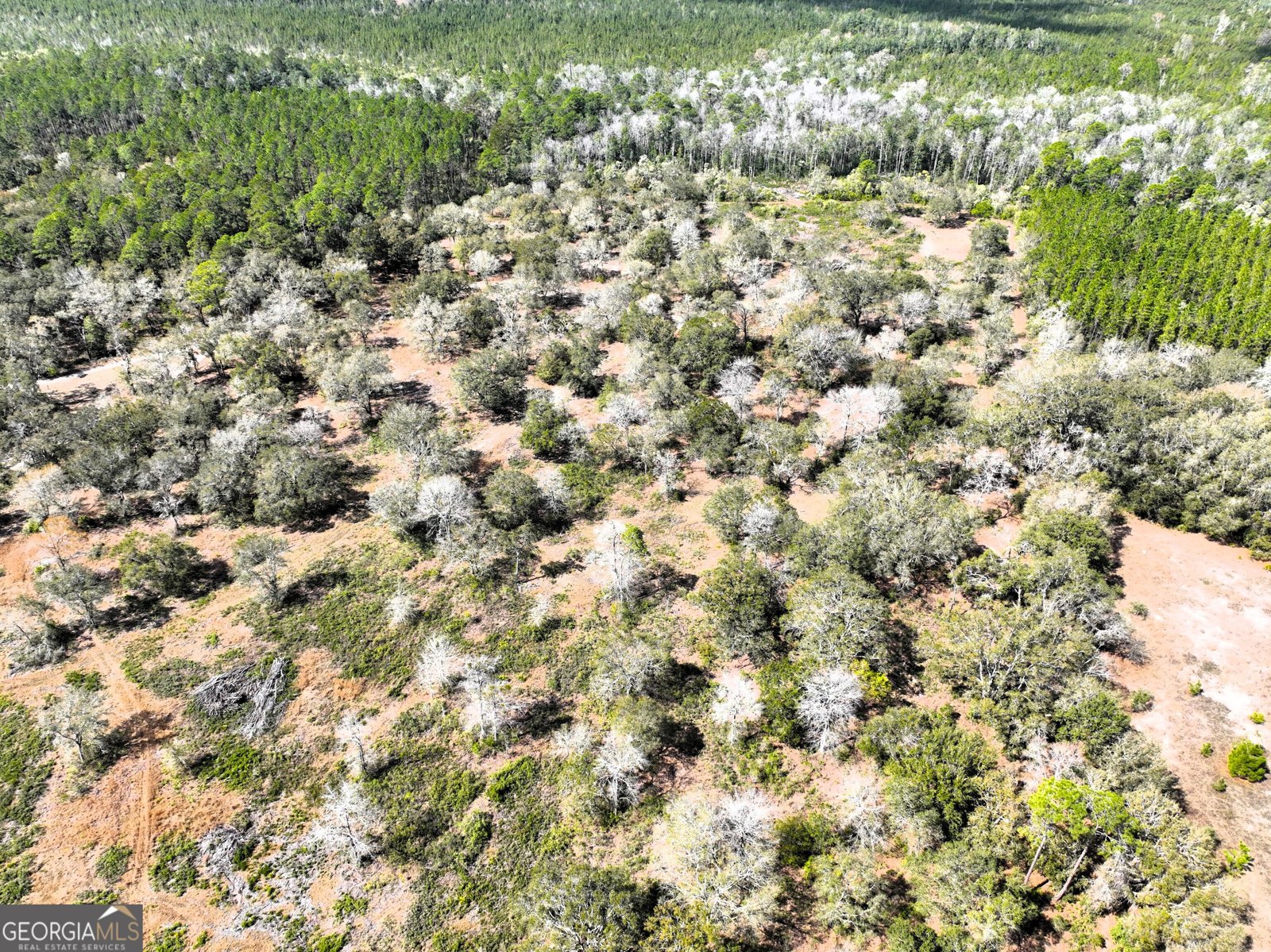 1205 Ok Lowther Road Folkston - 69