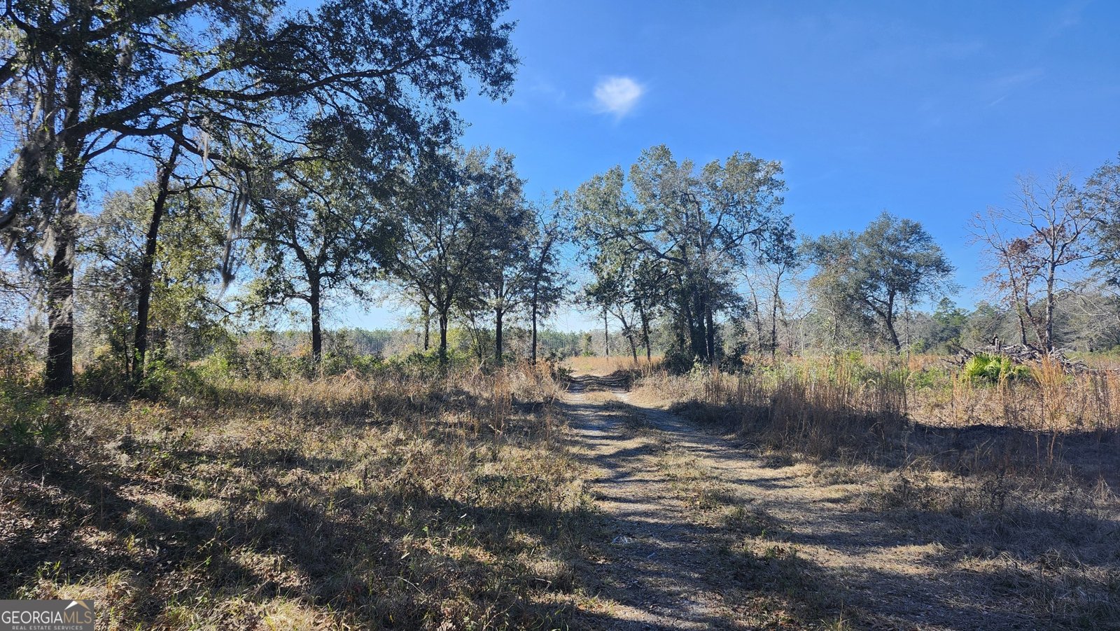 1205 Ok Lowther Road Folkston - 79