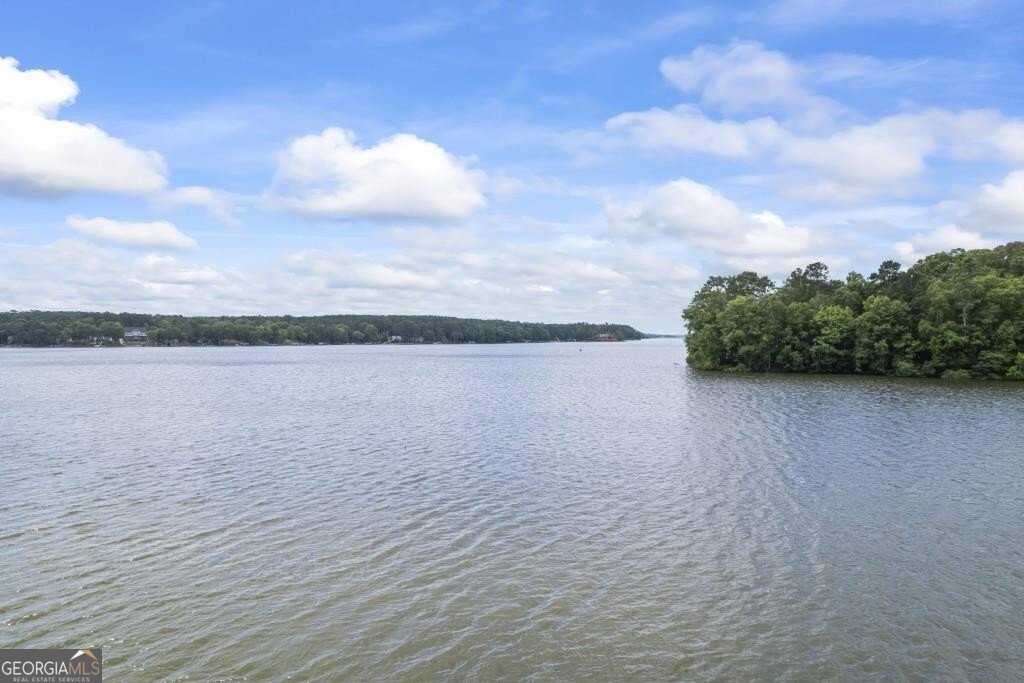 1301 Grayson Pointe Drive Buckhead - 54