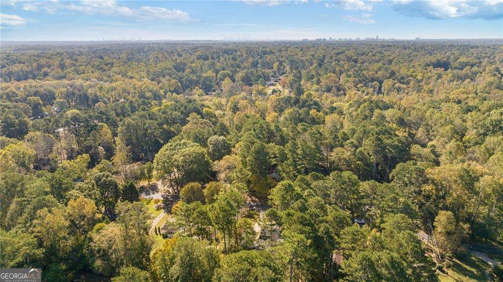 2915 Sope Creek Drive Marietta - 19