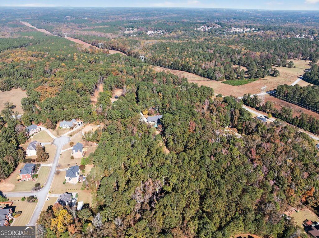 2150 Oglesby Bridge Road Conyers - 60