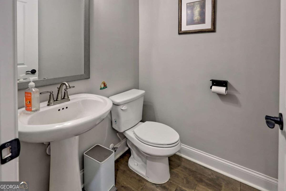 876 Sweetgrass Court Demorest - 37