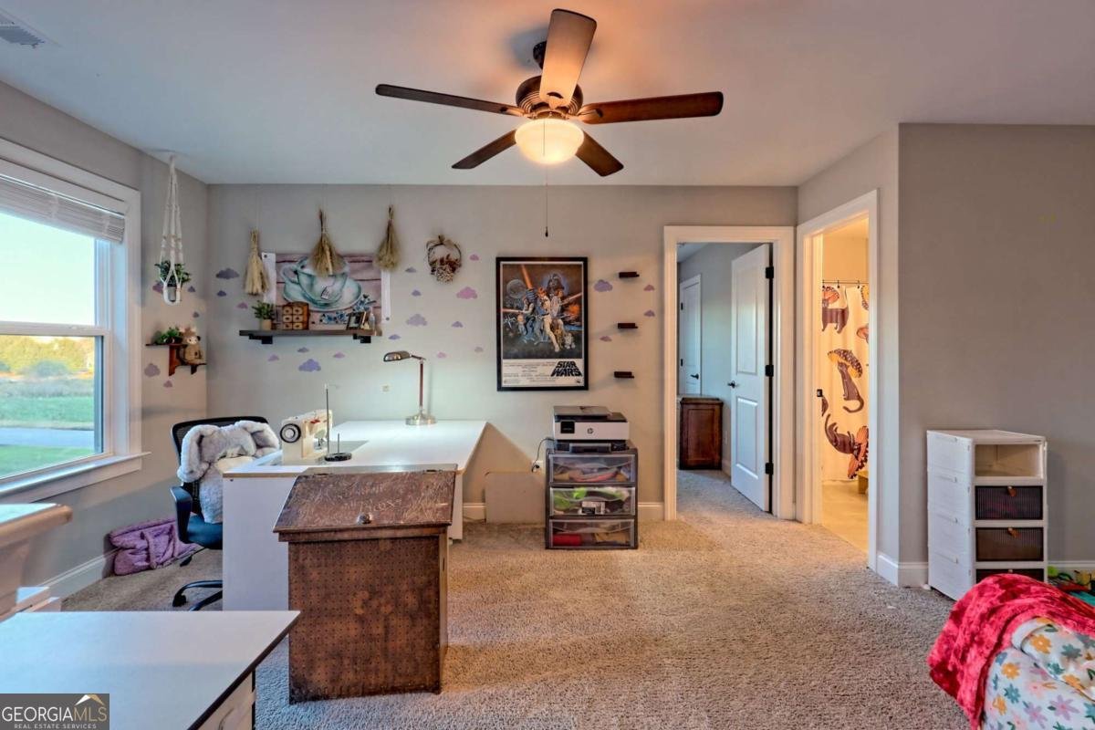 876 Sweetgrass Court Demorest - 50