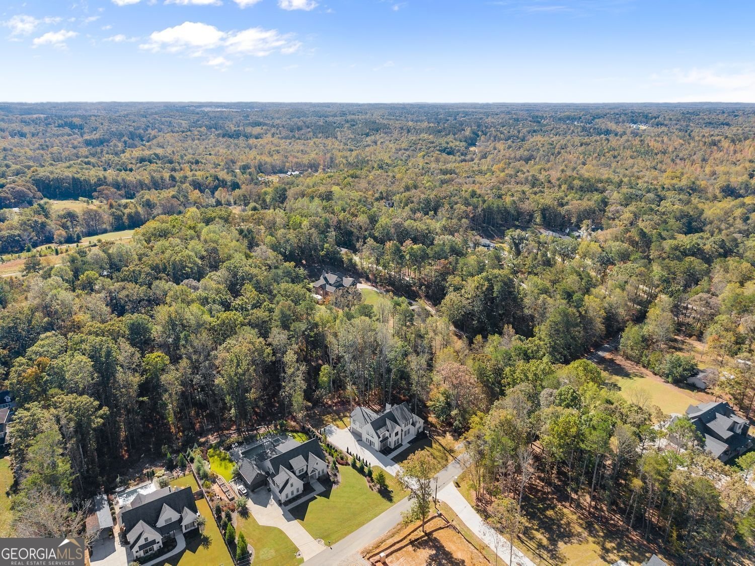 1646 Thomas Drive Hoschton - 13