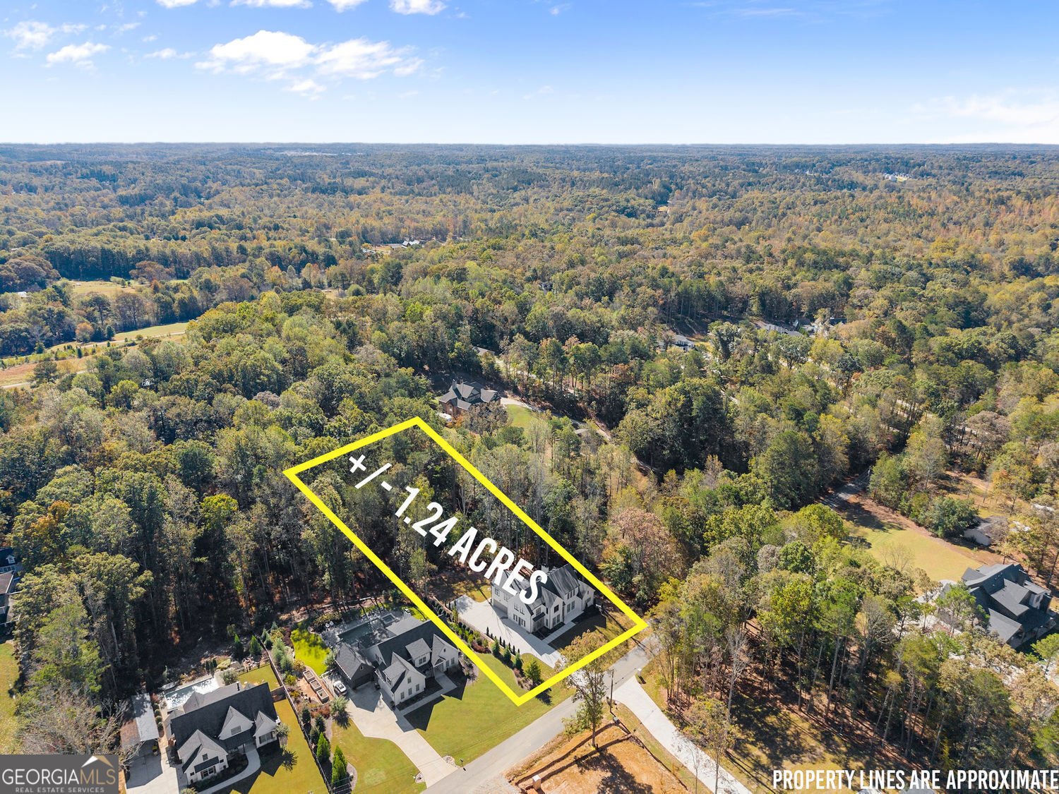 1646 Thomas Drive Hoschton - 14