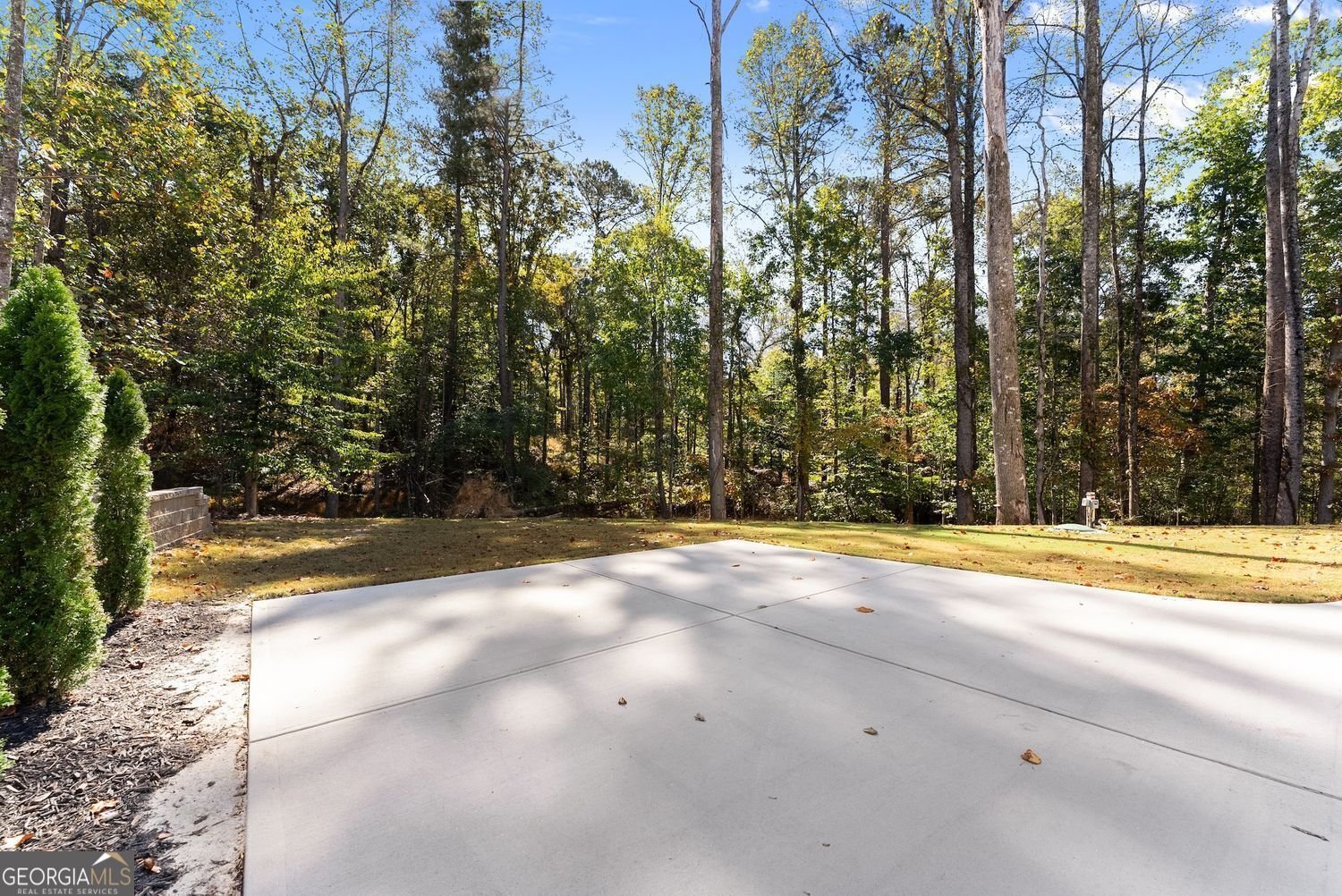 1646 Thomas Drive Hoschton - 5