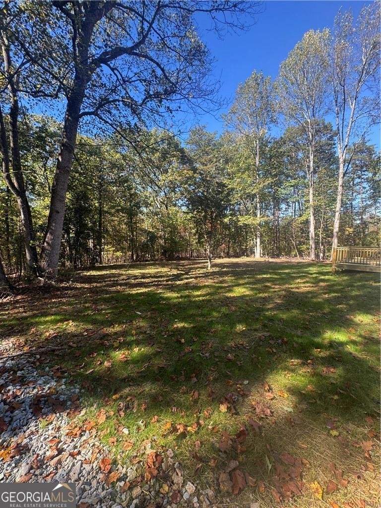 120 Kings Crossing Drive Dawsonville - 18