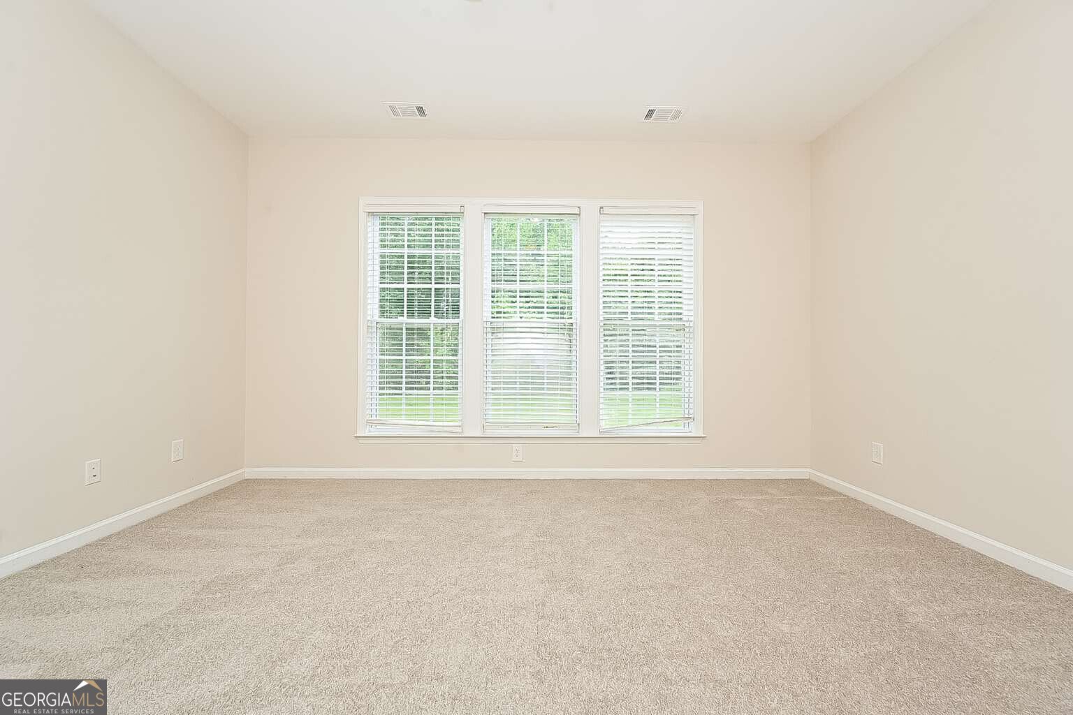 116 Magic Lily Drive Griffin - 8