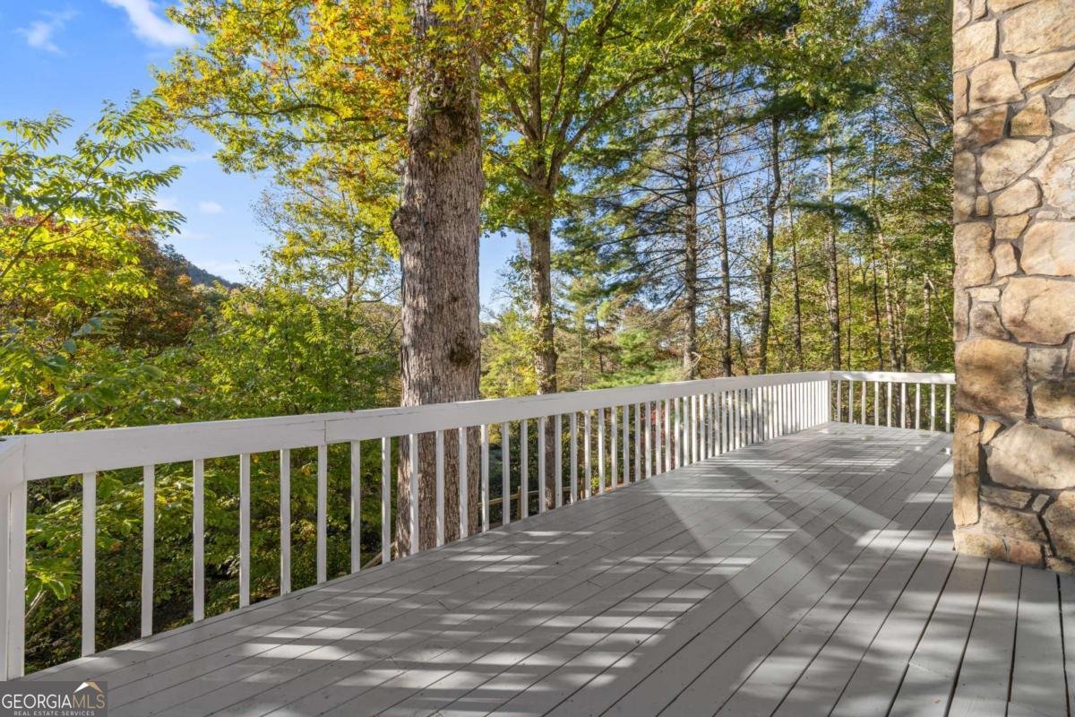 94 Butternut Creek Road Blairsville - 19