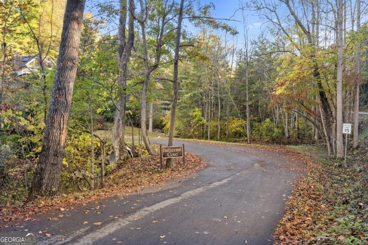 94 Butternut Creek Road Blairsville - 63