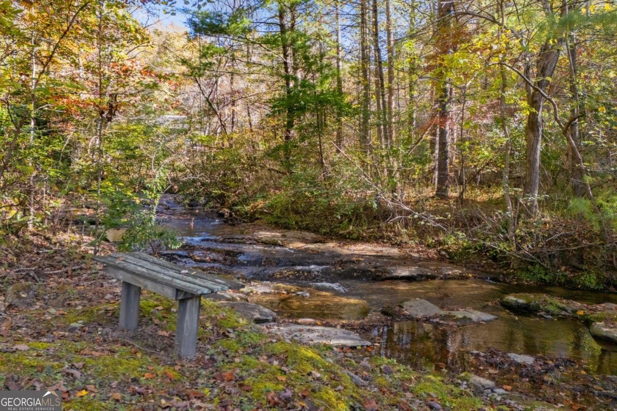 94 Butternut Creek Road Blairsville - 75