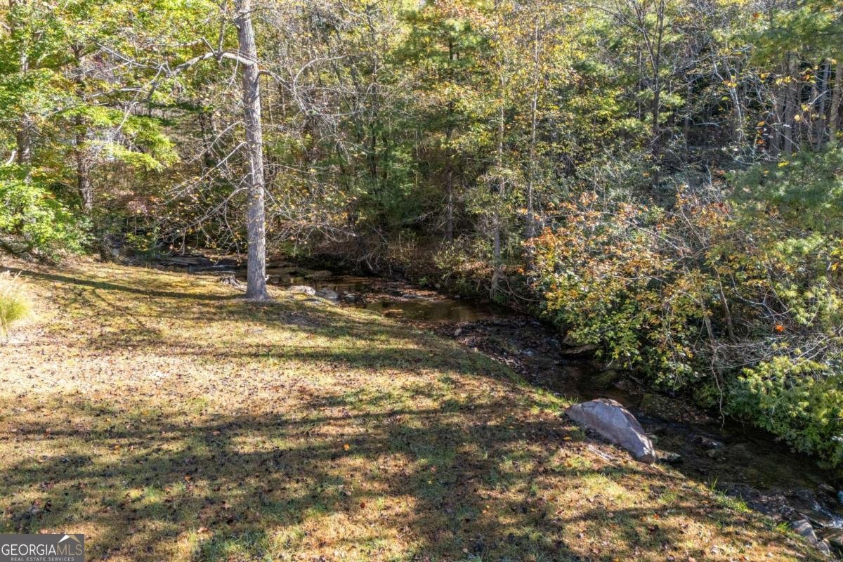 94 Butternut Creek Road Blairsville - 77