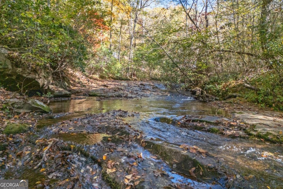 94 Butternut Creek Road Blairsville - 79