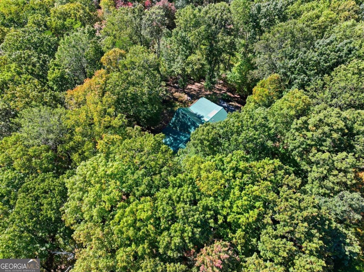 74 Sam Allen Mountain Road Ellijay - 1