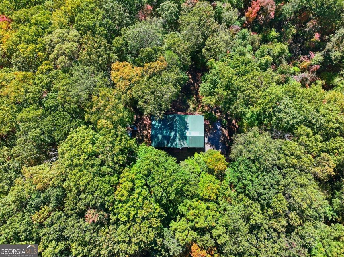 74 Sam Allen Mountain Road Ellijay - 3