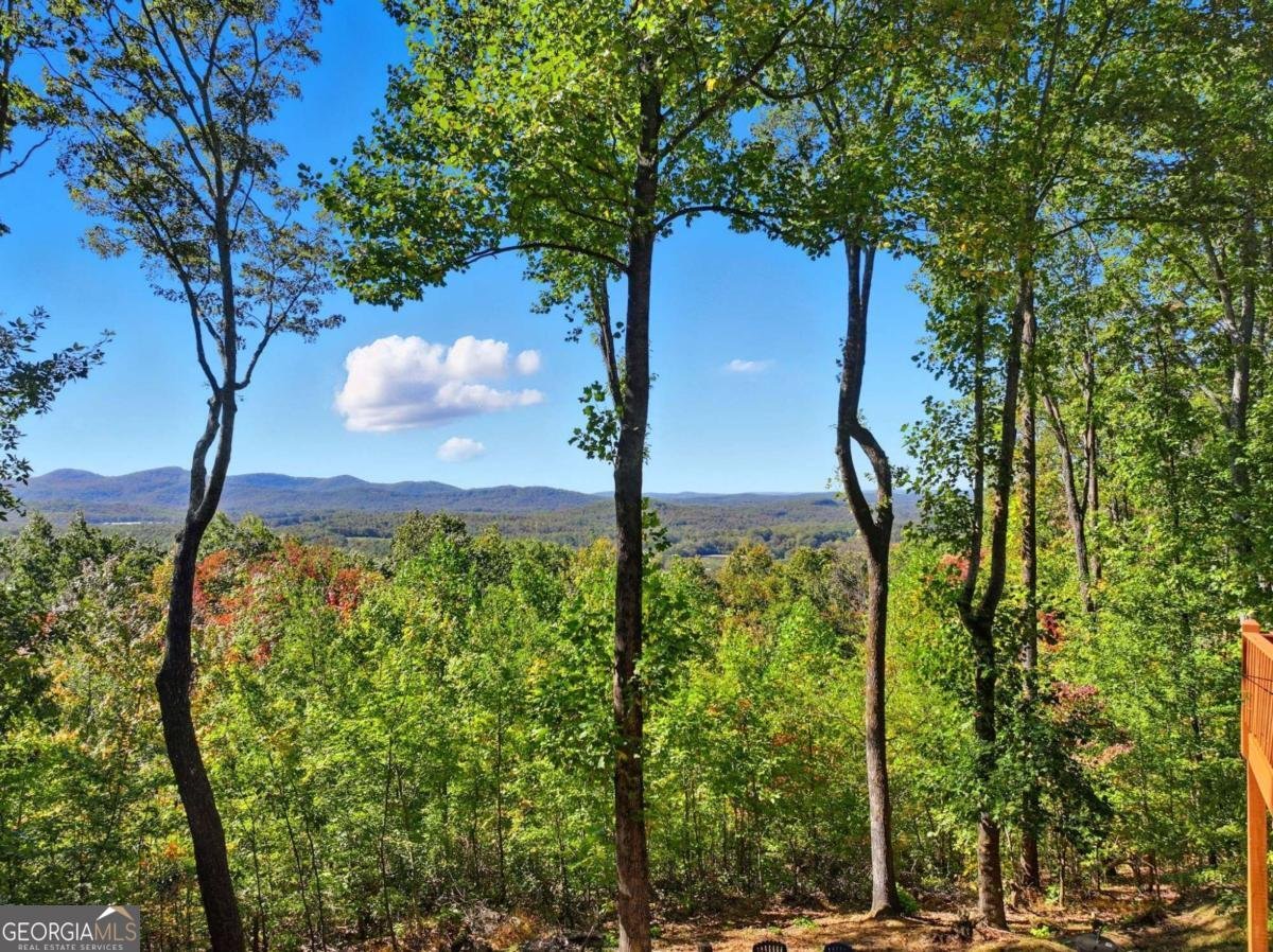 74 Sam Allen Mountain Road Ellijay - 37
