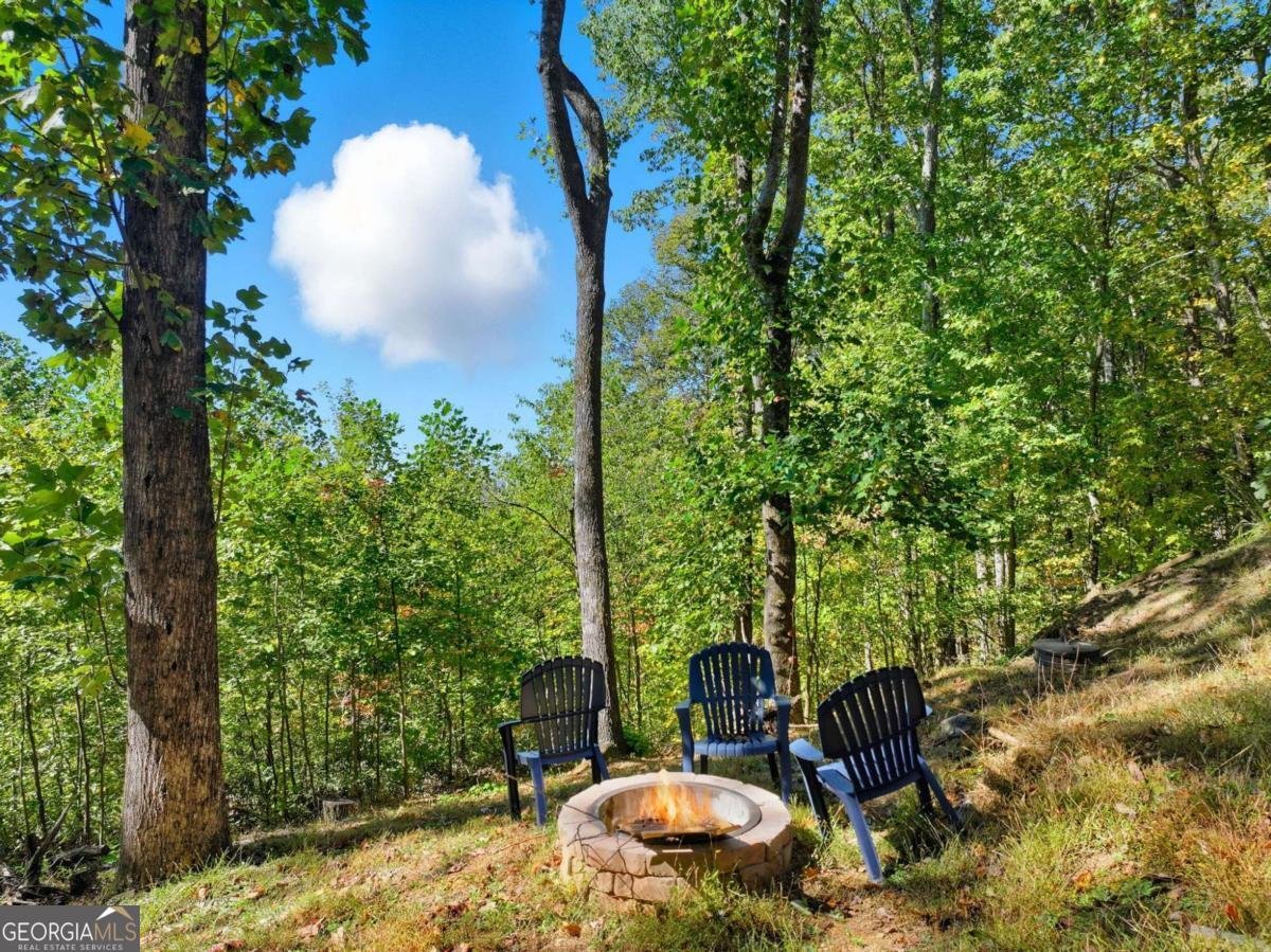 74 Sam Allen Mountain Road Ellijay - 38