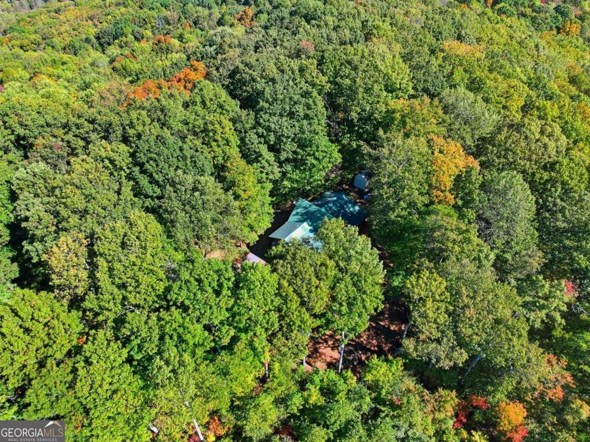 74 Sam Allen Mountain Road Ellijay - 39