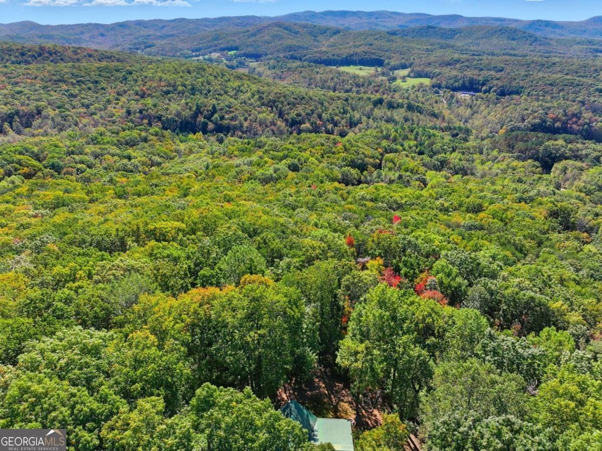 74 Sam Allen Mountain Road Ellijay - 4