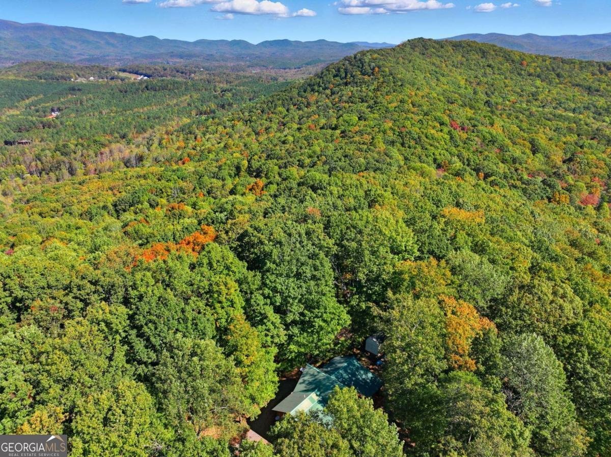 74 Sam Allen Mountain Road Ellijay - 41