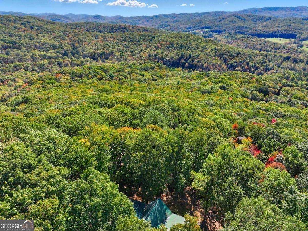 74 Sam Allen Mountain Road Ellijay - 44